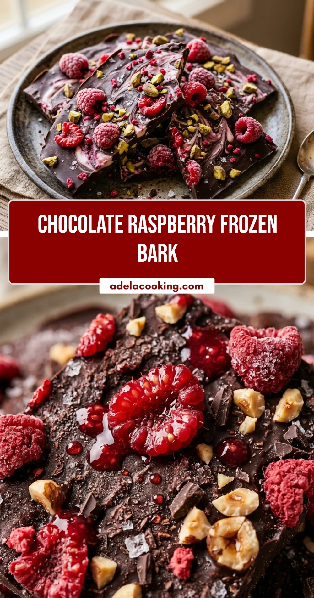 Chocolate Raspberry Frozen Bark