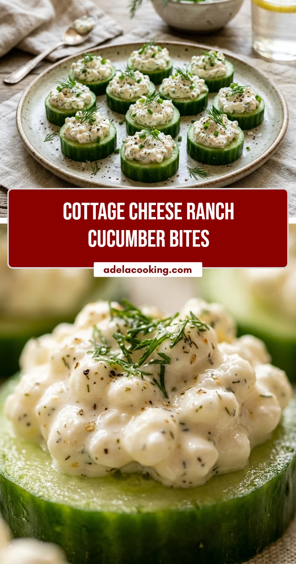 Cottage Cheese Ranch Cucumber Bites