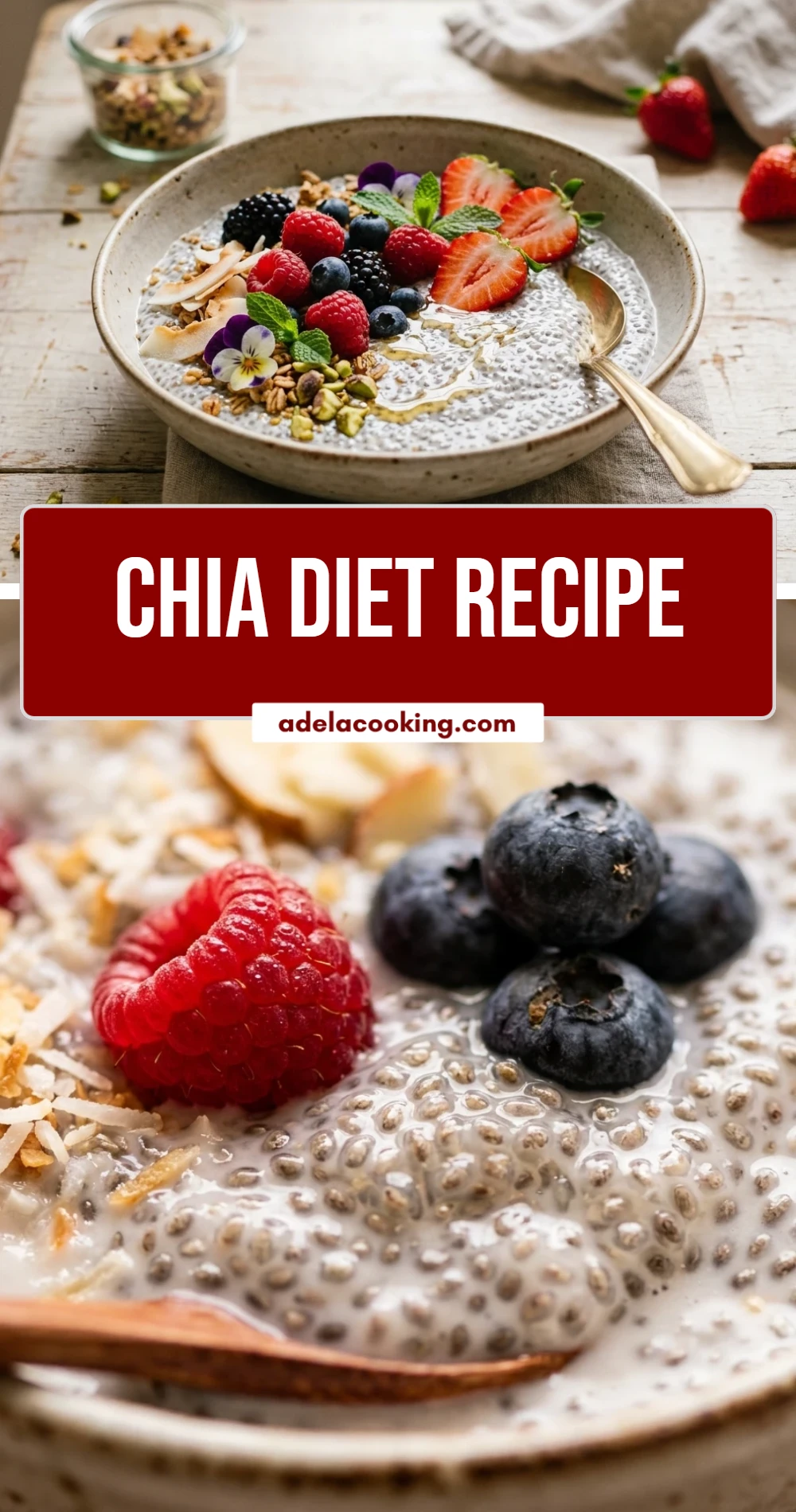 chia diet recipe
