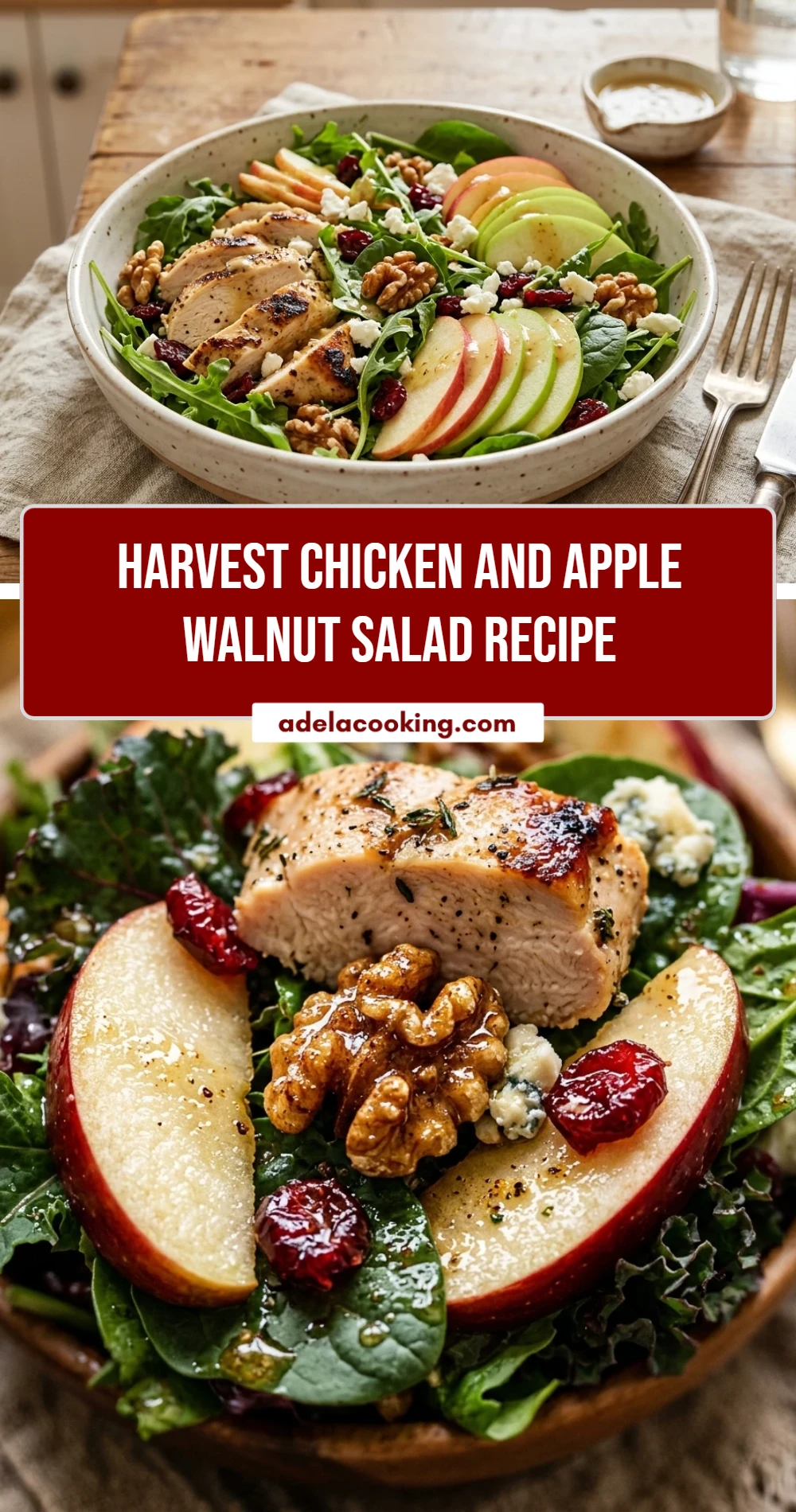 Harvest Chicken And Apple Walnut Salad Recipe
