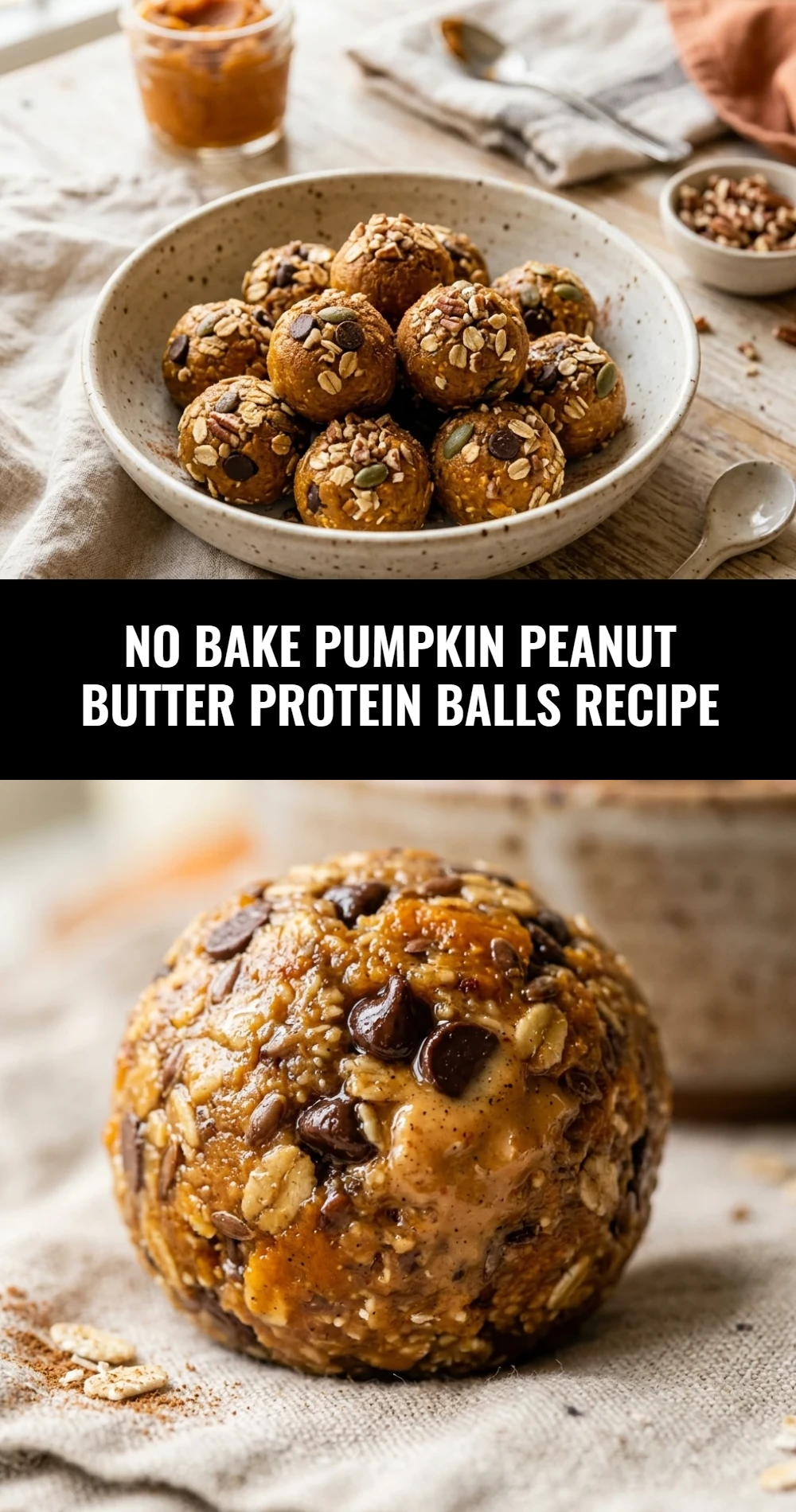 No Bake Pumpkin Peanut Butter Protein Balls Recipe