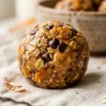 No Bake Pumpkin Peanut Butter Protein Balls Recipe